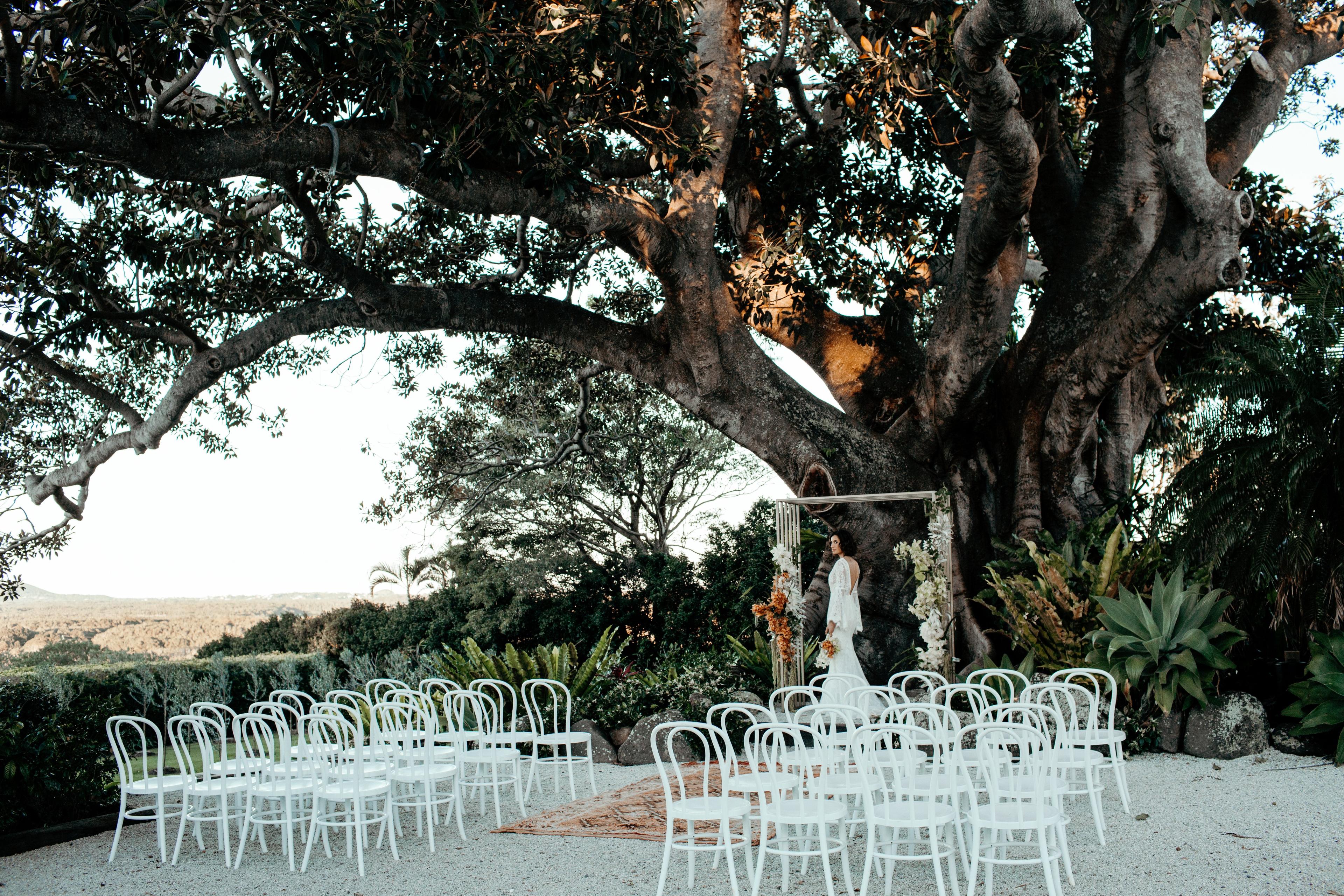 Outdoor ceremony setting underneath old fig tree