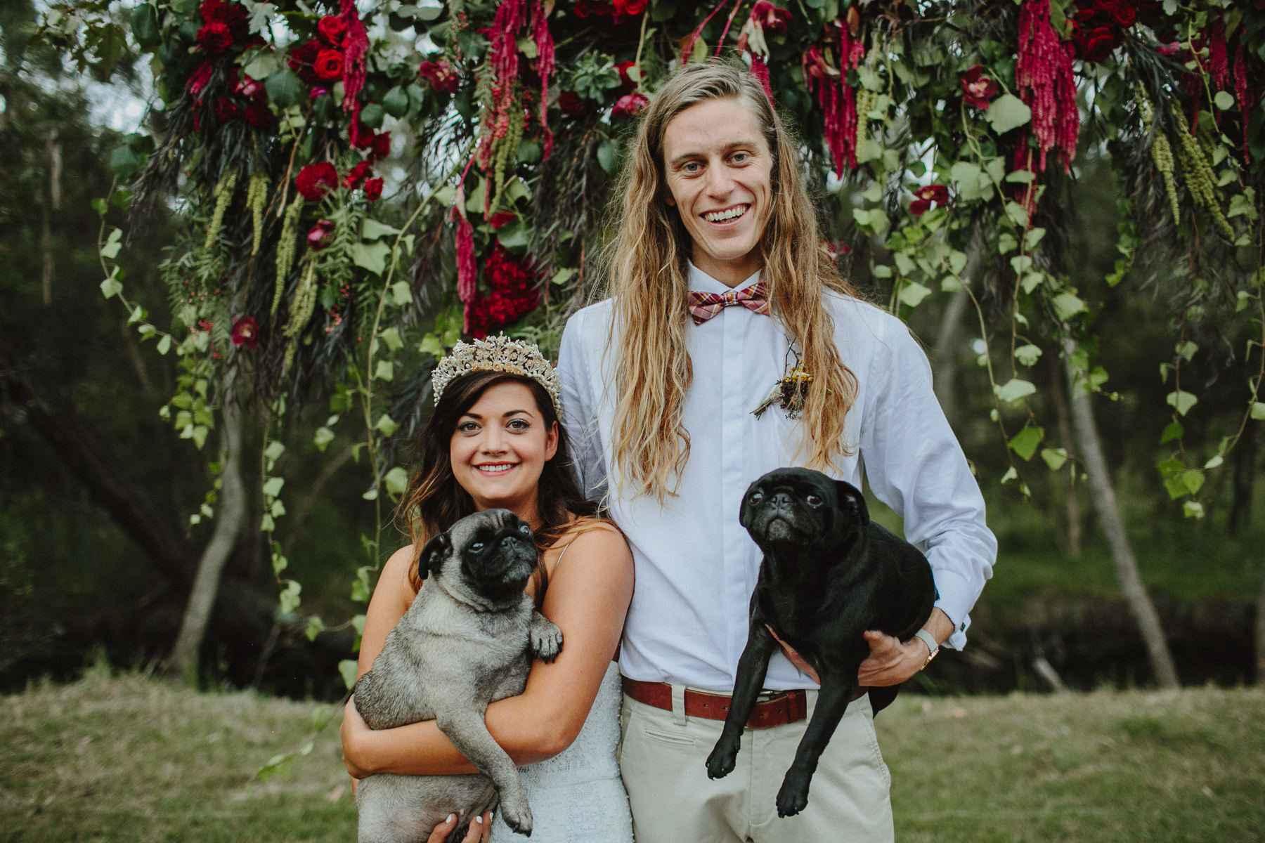 animals at weddings