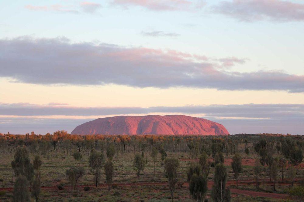 Uluru honeymoon