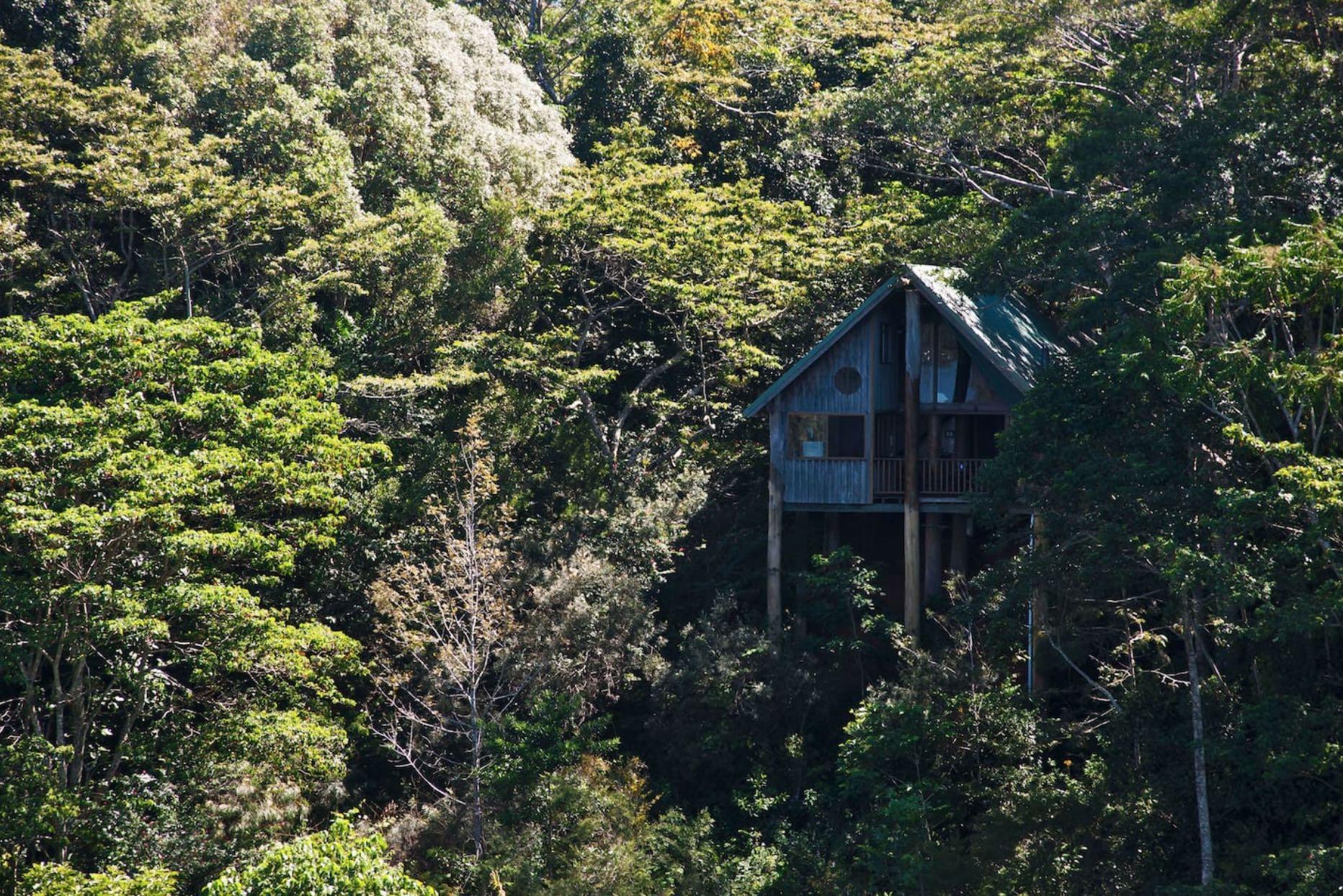 most romantic qld airbnbs